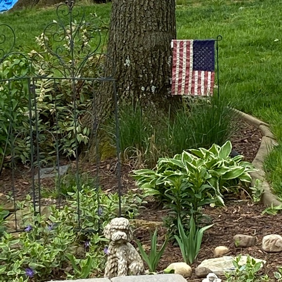 SHIPPING DAY-🌷1-2 days - Picture 8 of 16